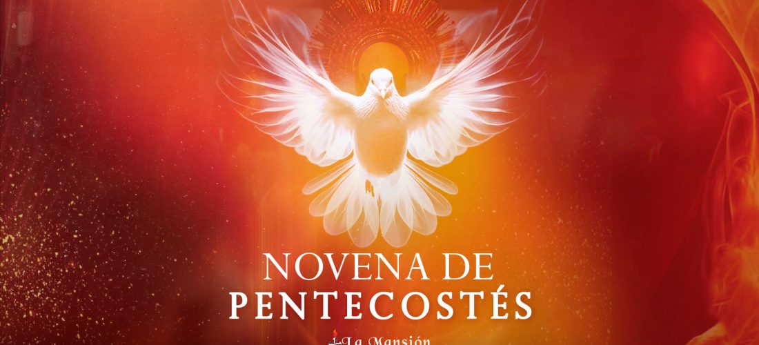 Novena-Web